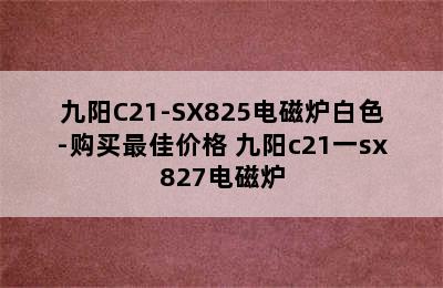 九阳C21-SX825电磁炉白色-购买最佳价格 九阳c21一sx827电磁炉